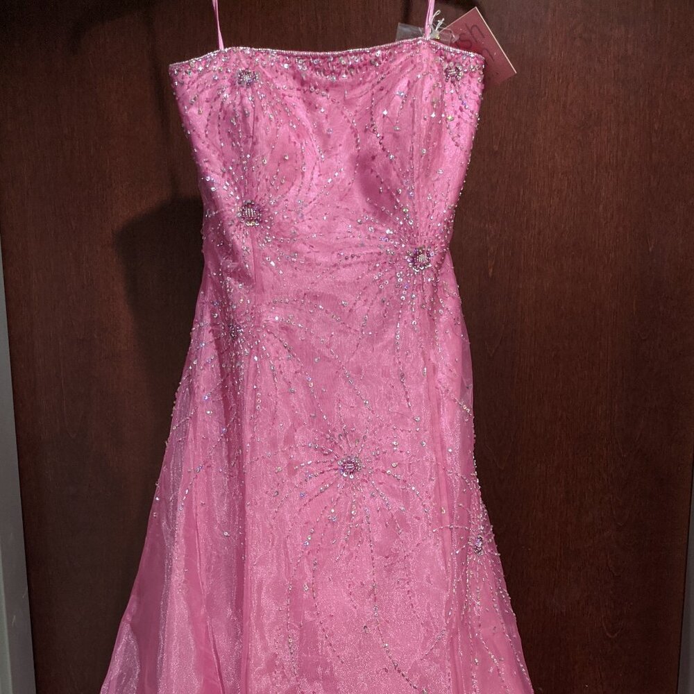 Blush Prom 9713 Size 8